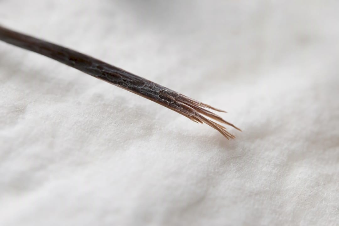 Macro close-up of split end hair strand